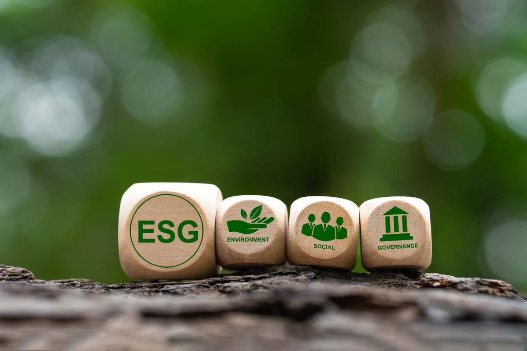 6 Ways Construction Companies Are Meeting ESG Goals